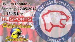 LIVE on Air: Cougars in Hildesheim