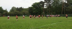 Deutscher Meister deklassiert Flag Cougars