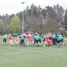 65:0 – Cougars 2 mit erstem Sieg